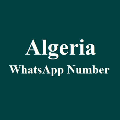 Algeria WhatsApp Data