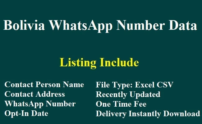 Bolivia WhatsApp Number Data