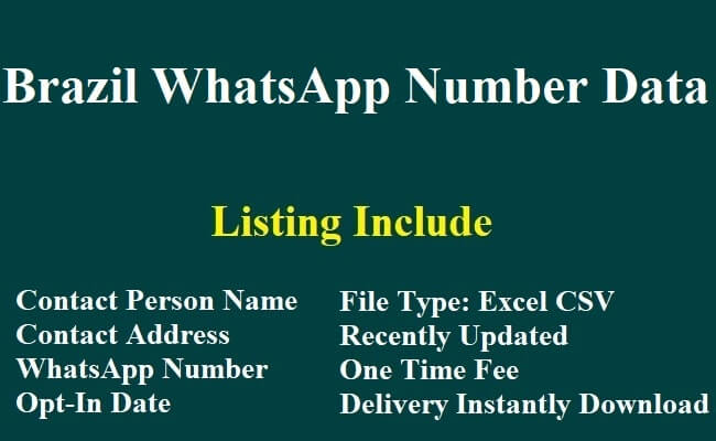 Brazil WhatsApp Number Data