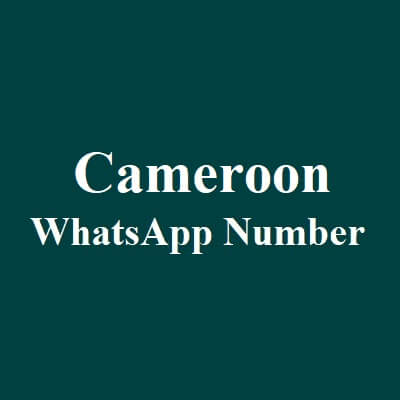 Cameroon WhatsApp Data