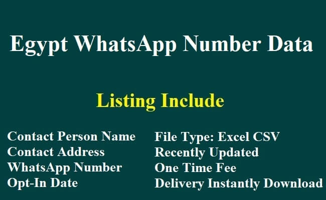 Egypt WhatsApp Number Data