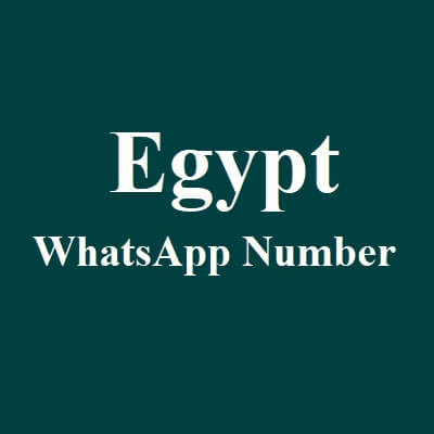 Egypt WhatsApp Data