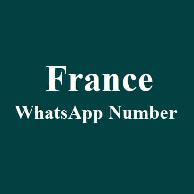 France WhatsApp Data