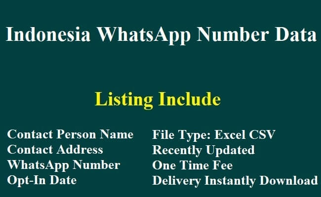 Indonesia WhatsApp Number Data