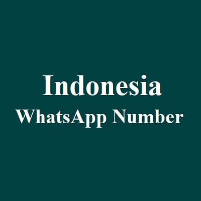 Indonesia WhatsApp Data