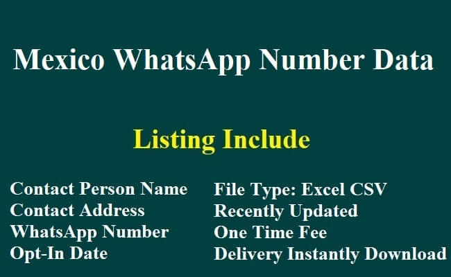 Mexico WhatsApp Number Data