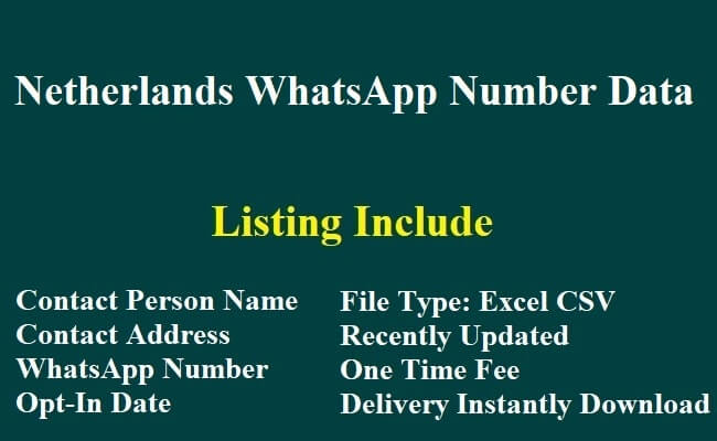 Netherlands WhatsApp Number Data