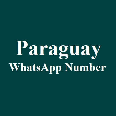 Paraguay WhatsApp Data