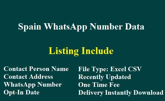 Spain WhatsApp Number Data