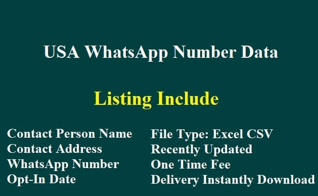 USA WhatsApp Number Data
